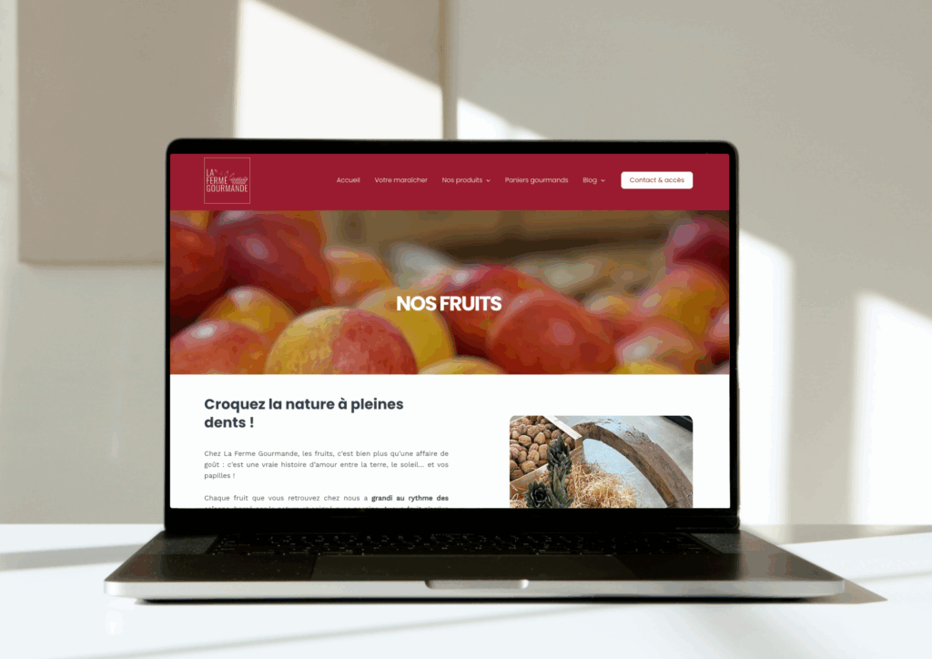 mockups réalisation pour site (4)