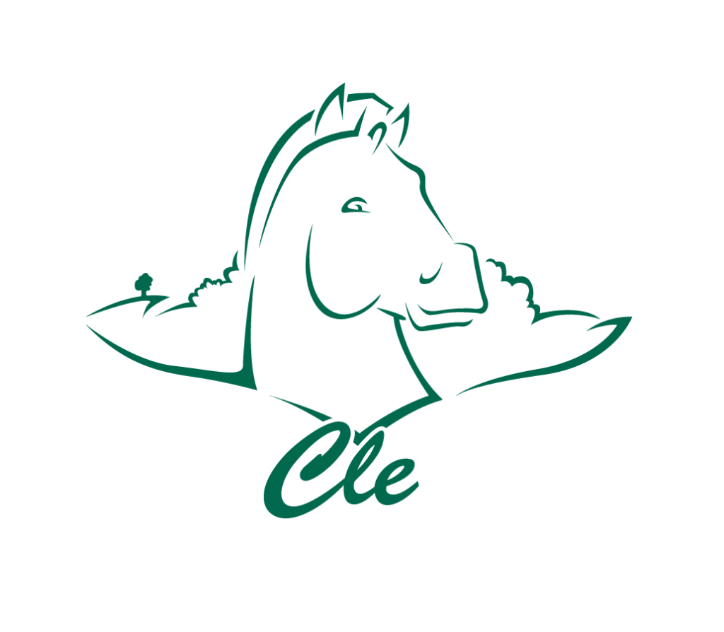 logo transparent